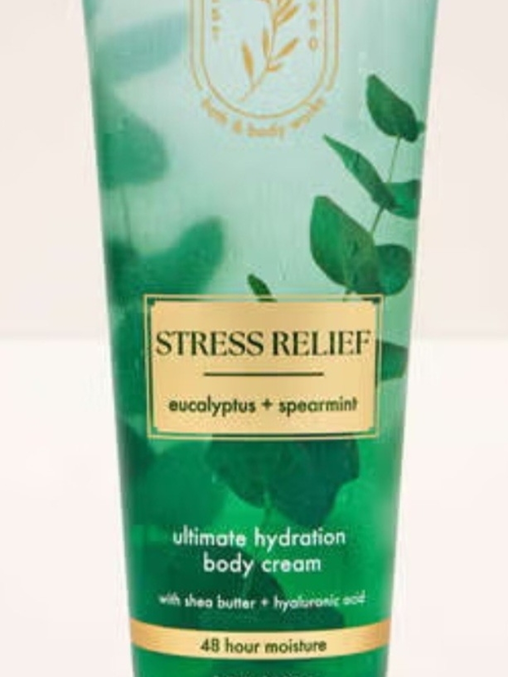 Bath & Body Works Stress Relief Eucalyptus + Spearmint Body Cream And Body Wash